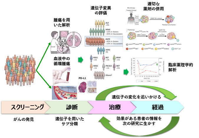 診療体制